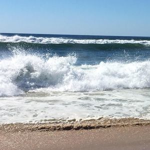 Meet your Posher, Anne